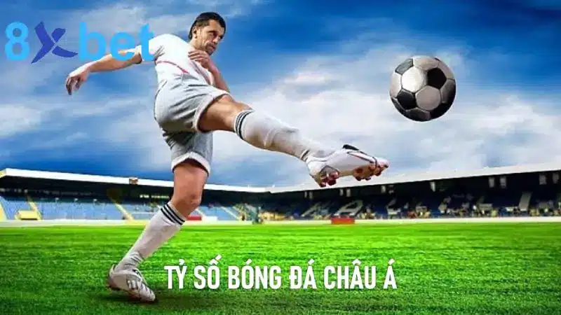 Tỷ số bóng đá châu Á: Cập nhật nhanh chóng, chính xác 7 Tỷ số bóng đá châu Á được nhiều người quan tâm